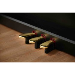 Casio AP-550 BK Smart Hybrid Celviano